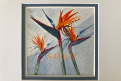 Strelitzia-by-Karin-Atherstone-SOLD