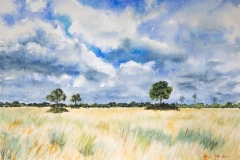 Okavango-Landscape-by-Karin-Atherstone