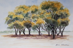 Trees-by-Karin-Atherstone