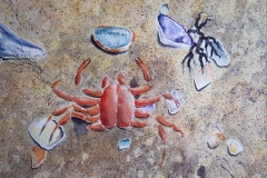 Beach-Crab-by-Karin-Atherstone