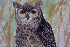 Owl-by-Karin-Atherstone